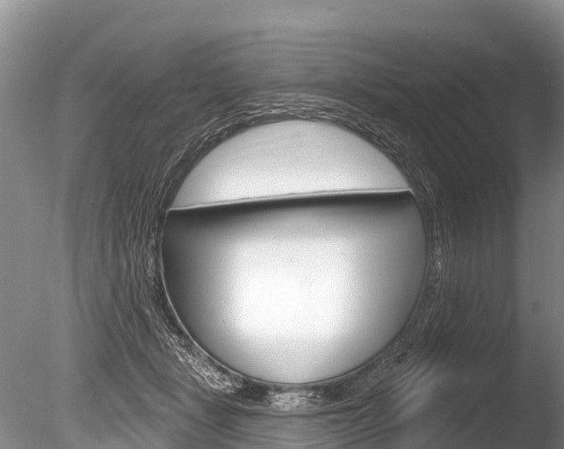 X0000086300461200703300933