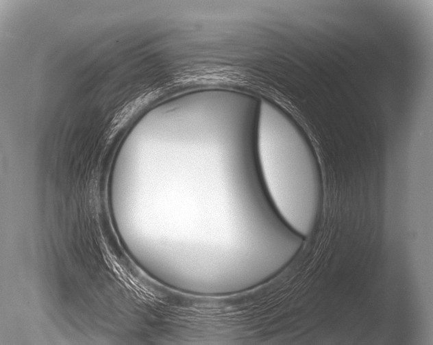 X0000086300482200703300932