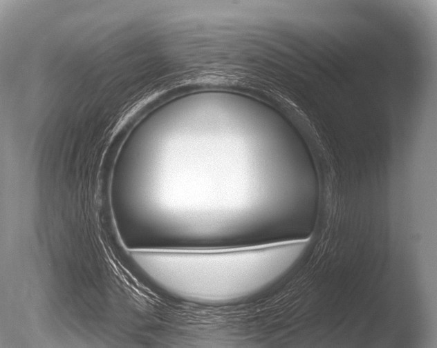 X0000086300484200703300932