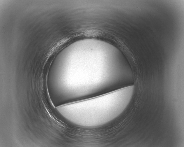 X0000086300492200703300932