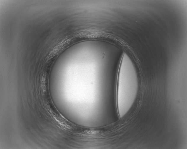 X0000086300497200703300932