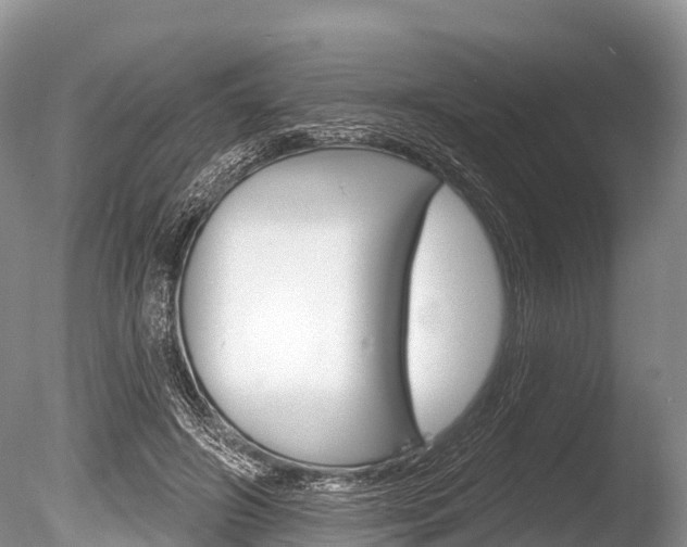 X0000086300498200703300932