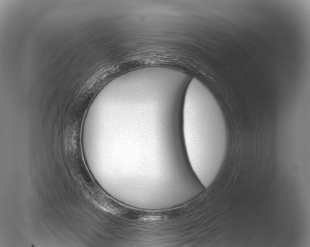 X0000086300499200703300932