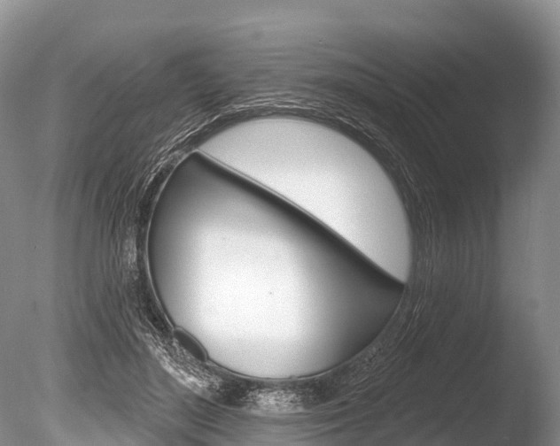 X0000086300500200703300932