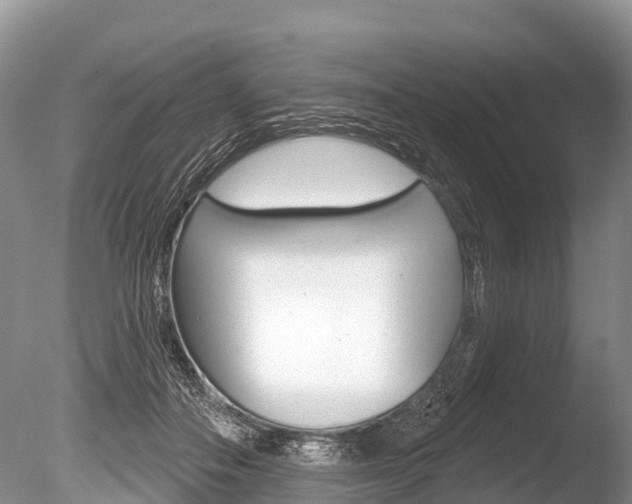 X0000086300506200703300932