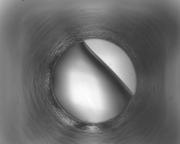X0000086300509200703300932