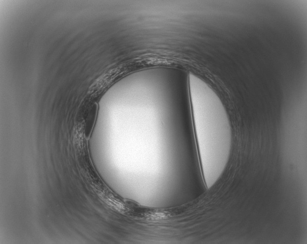 X0000086300513200703300932