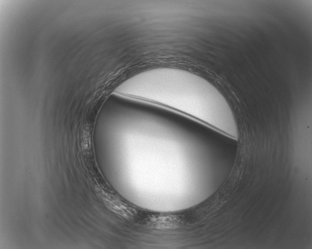 X0000086300517200703300932