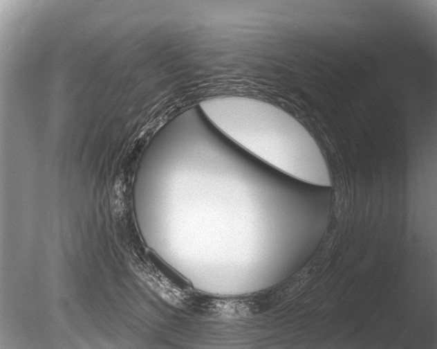 X0000086300520200703300932