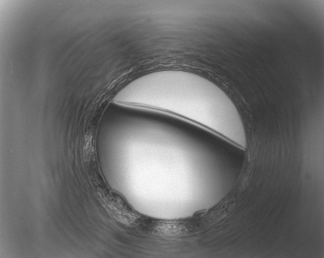 X0000086300521200703300932