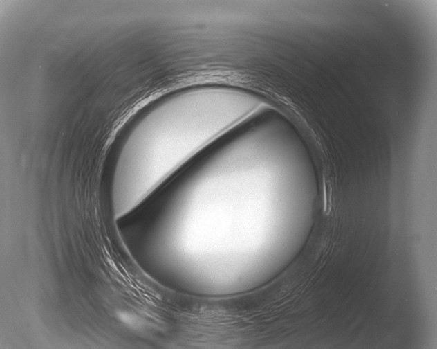 X0000086300531200703300931