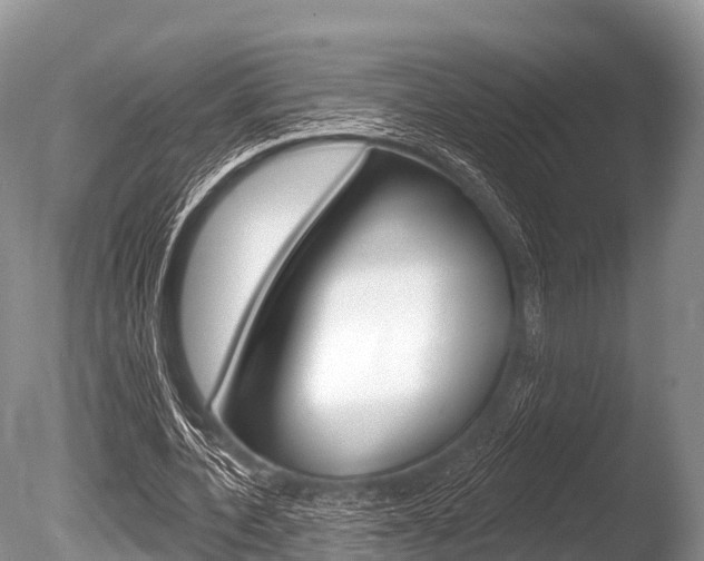 X0000086300532200703300931
