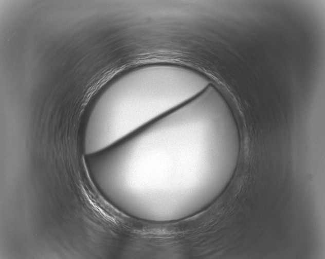 X0000086300533200703300931