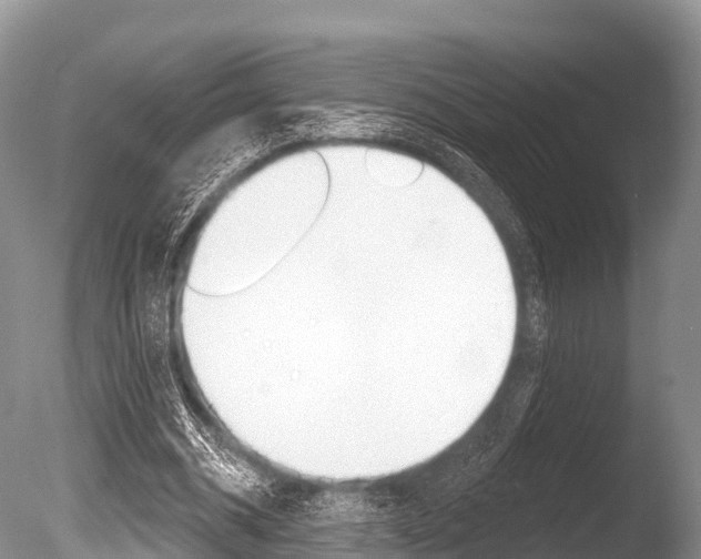 X0000086300534200703300931