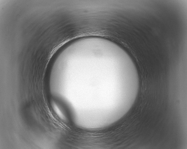 X0000086300536200703300931