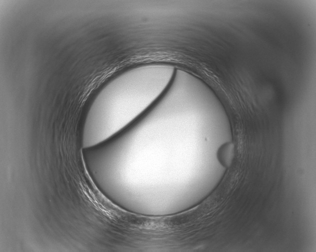 X0000086300537200703300931
