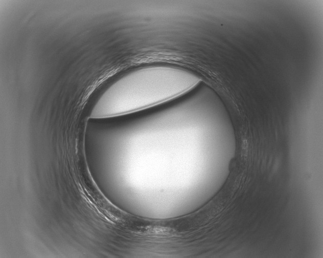 X0000086300539200703300931