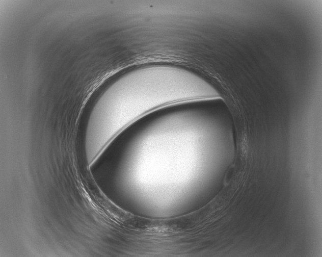 X0000086300540200703300931