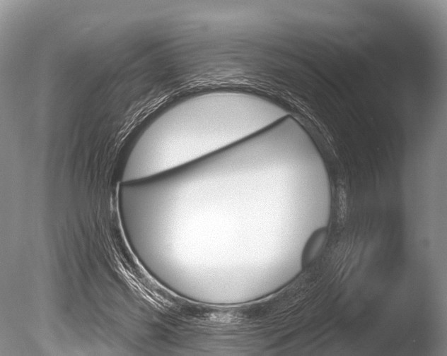 X0000086300541200703300931