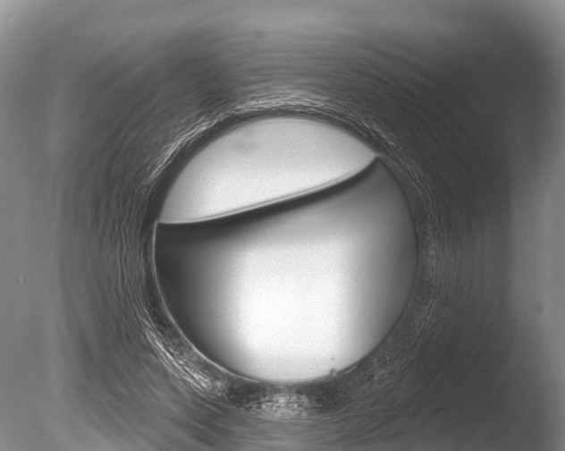 X0000086300543200703300931