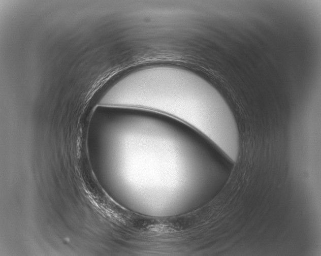 X0000086300544200703300931