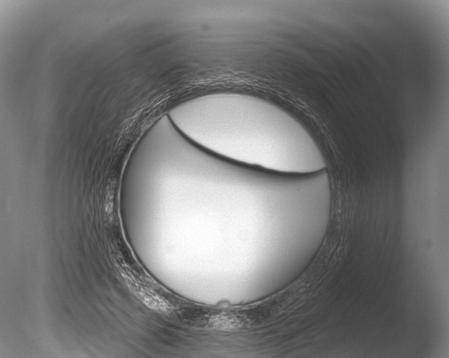 X0000086300545200703300931