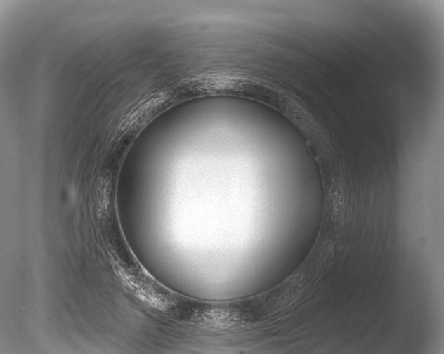 X0000086300546200703300931