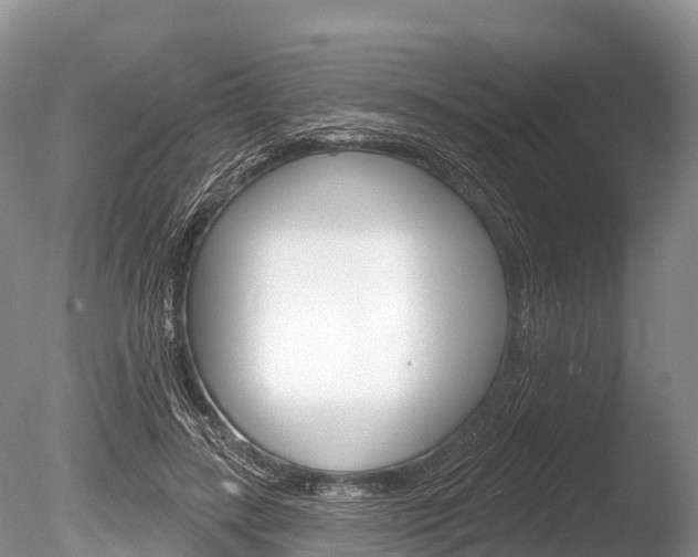 X0000086300547200703300931