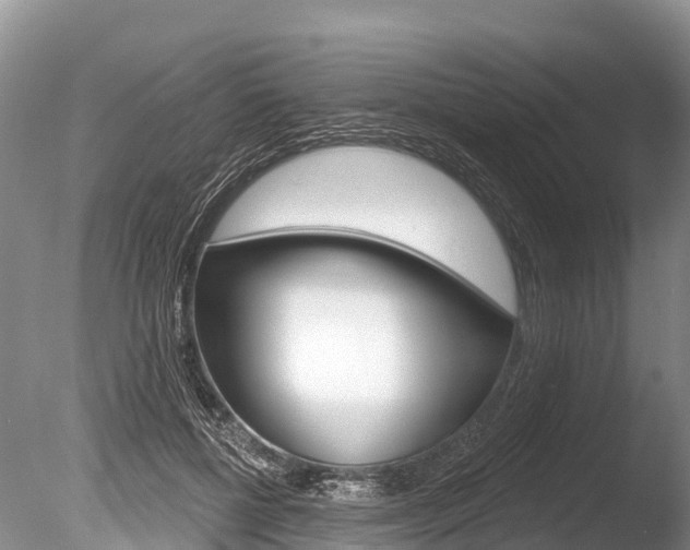 X0000086300552200703300931