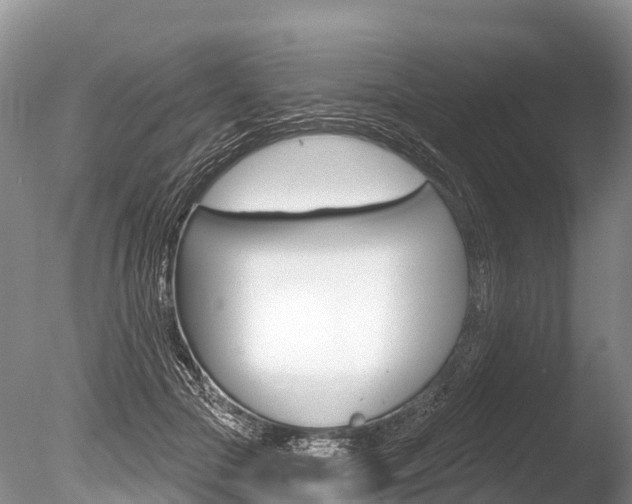 X0000086300553200703300931