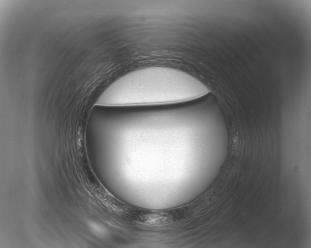 X0000086300555200703300931