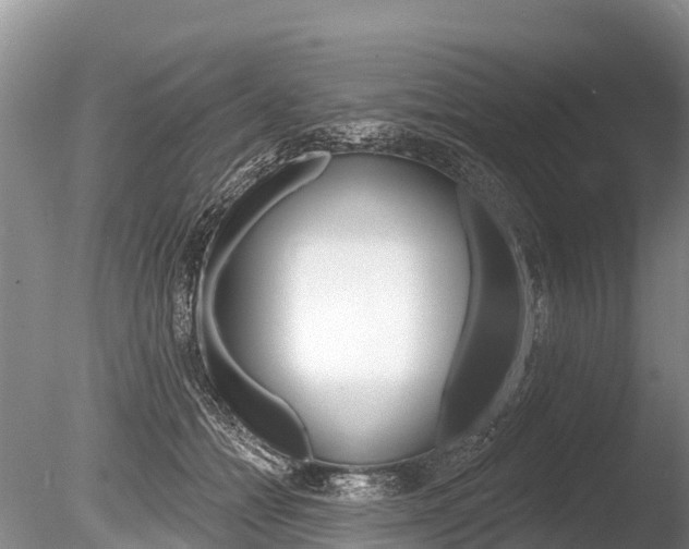 X0000086300558200703300931