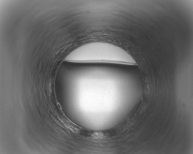 X0000086300562200703300931