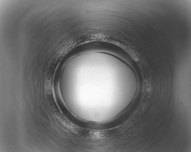 X0000086300564200703300931