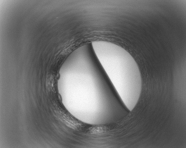 X0000086300567200703300931