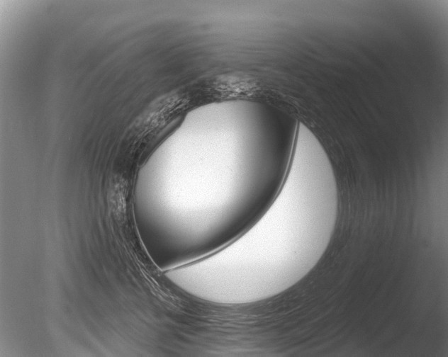 X0000086300570200703300931