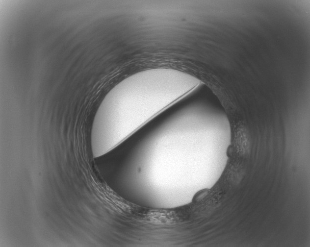 X0000086300571200703300931