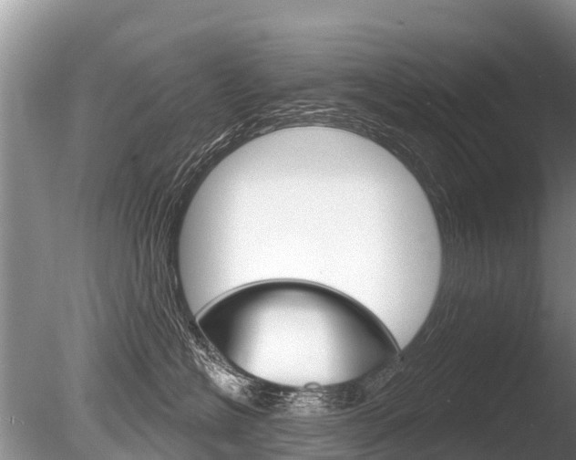 X0000086300574200703300932
