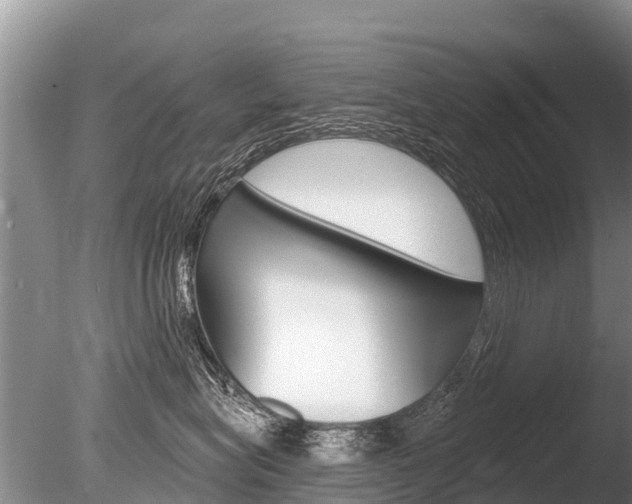 X0000086300575200703300932