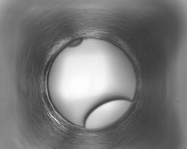 X0000086300578200703300931