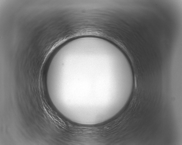 X0000086300579200703300931