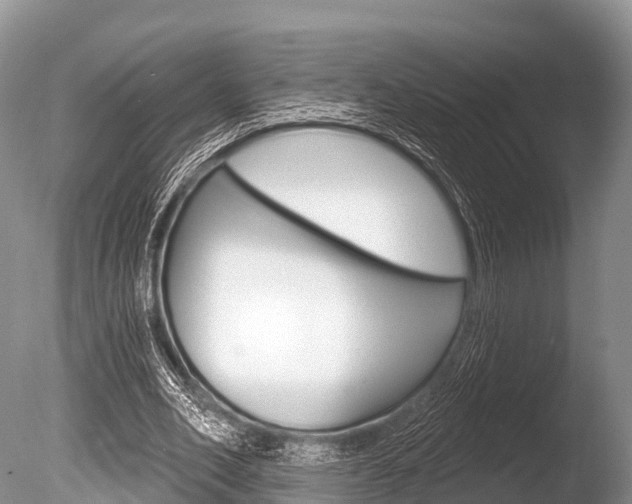 X0000086300582200703300931