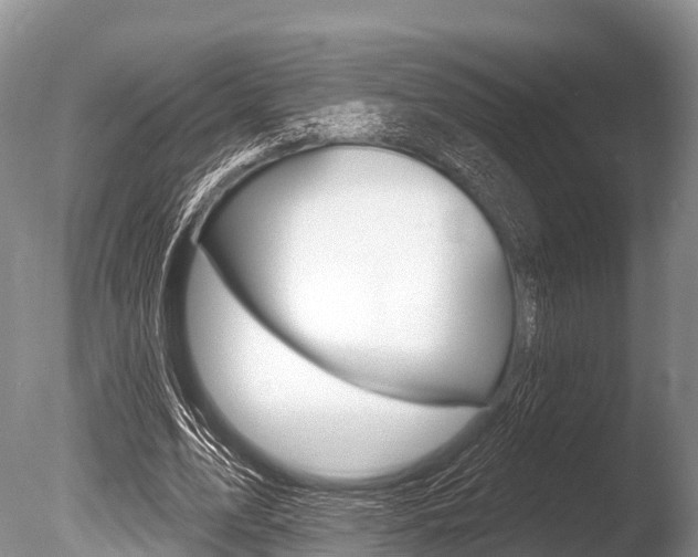 X0000086300583200703300931