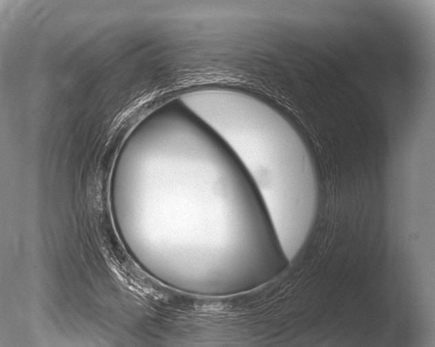 X0000086300587200703300931