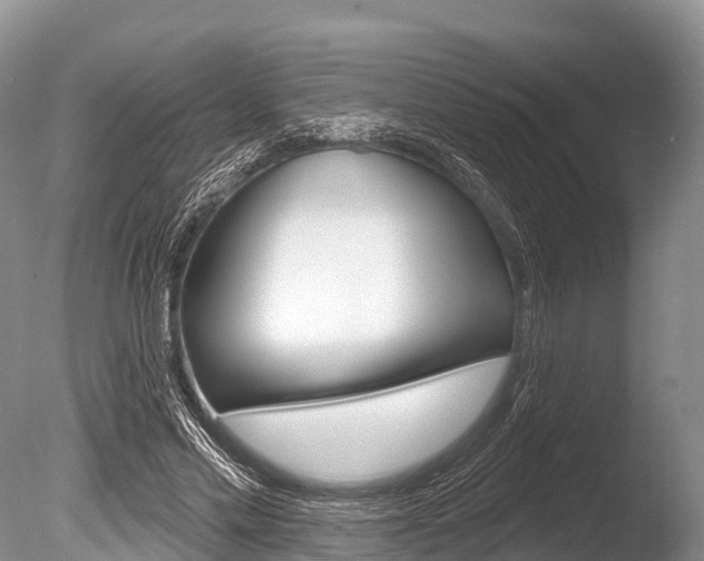 X0000086300589200703300930