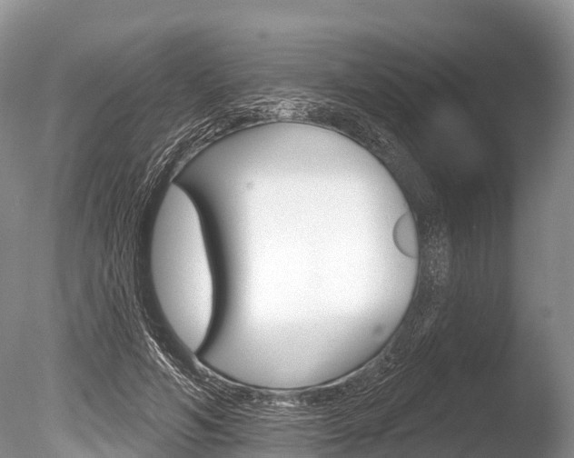 X0000086300594200703300930
