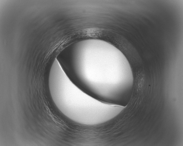 X0000086300595200703300930
