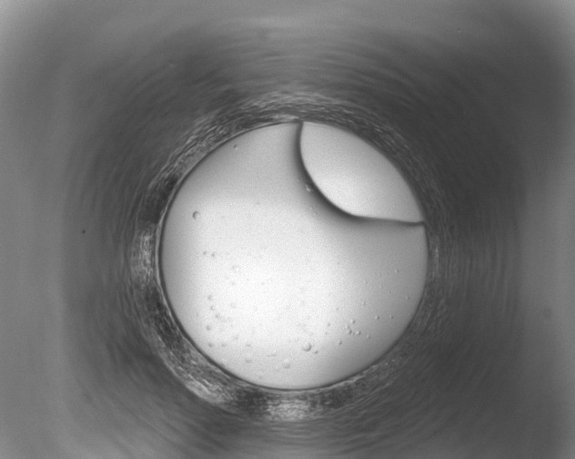 X0000086300598200703300930