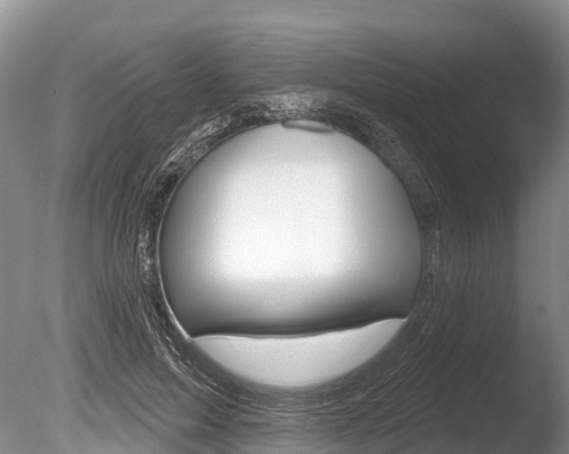 X0000086300599200703300930