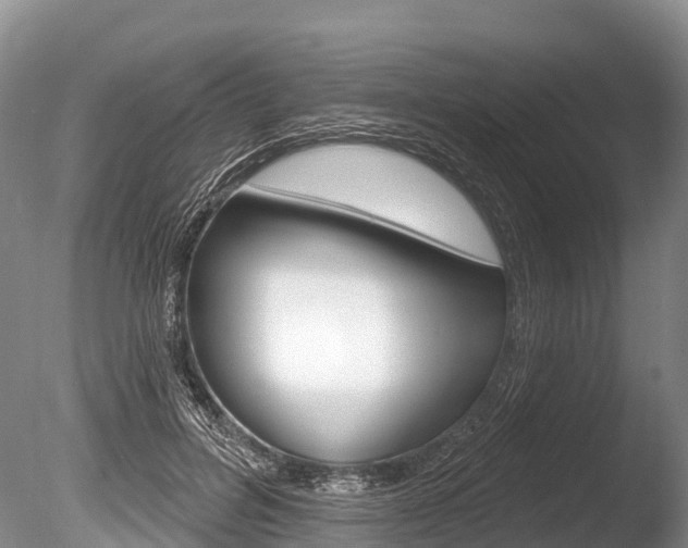 X0000086300600200703300930